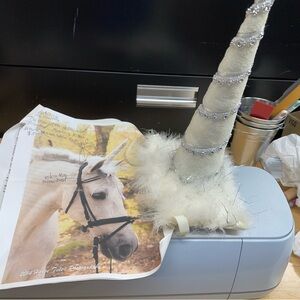 You know your horse is a unicorn!